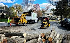 Tree and Shrub Care in Garden Acres, CA